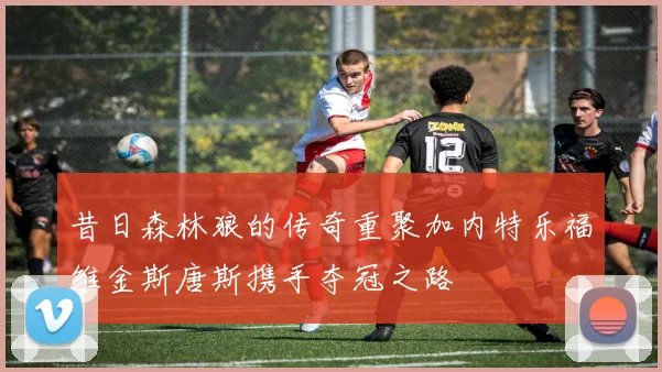 昔日森林狼的传奇重聚加内特乐福维金斯唐斯携手夺冠之路