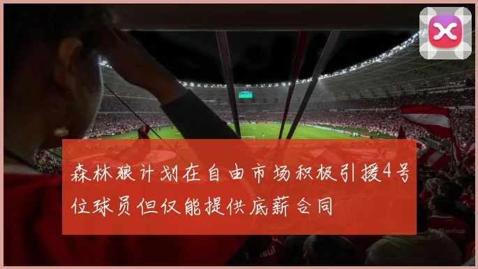 森林狼计划在自由市场积极引援4号位球员但仅能提供底薪合同