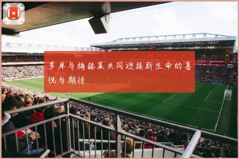 多库与梅赫莱共同迎接新生命的喜悦与期待
